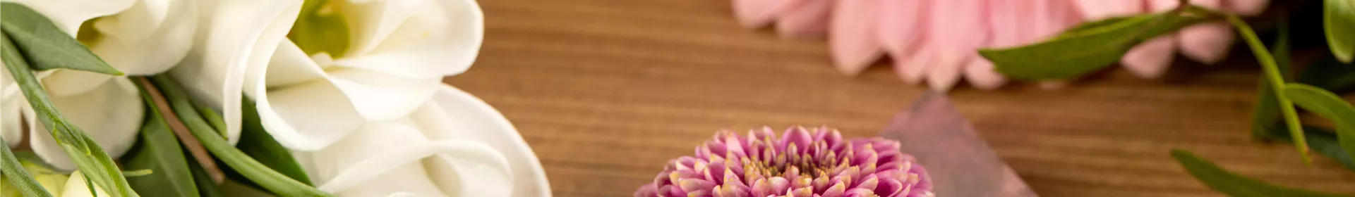 Schnittblumen - was hilft wirklich? - Rosengut Langerwisch