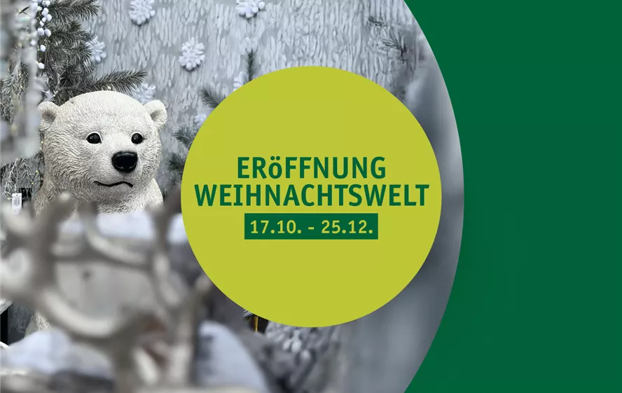 Neuigkeiten_Weihnachtswelt_01.png Neuigkeiten_Weihnachtswelt_01.png