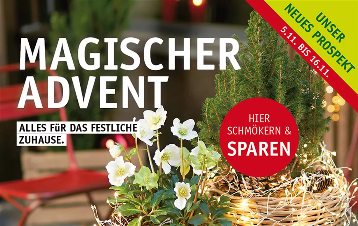 2025_11_04_web_termi_beil-9_888x561px.jpg 2025_11_04_web_termi_beil-9_888x561px.jpg