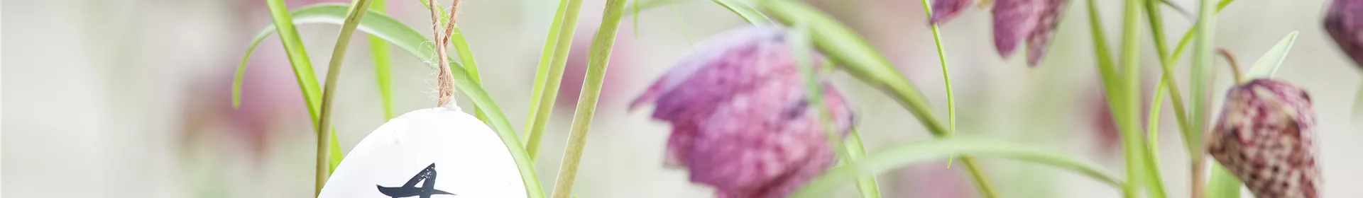 Der Garten für den Osterhasen – ein Frühlingsparadies! - Rosengut Langerwisch