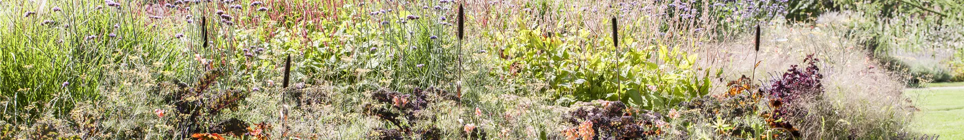 Pflegeleichter Garten: Wohlfühloase trotz wenig Zeit - Rosengut Langerwisch