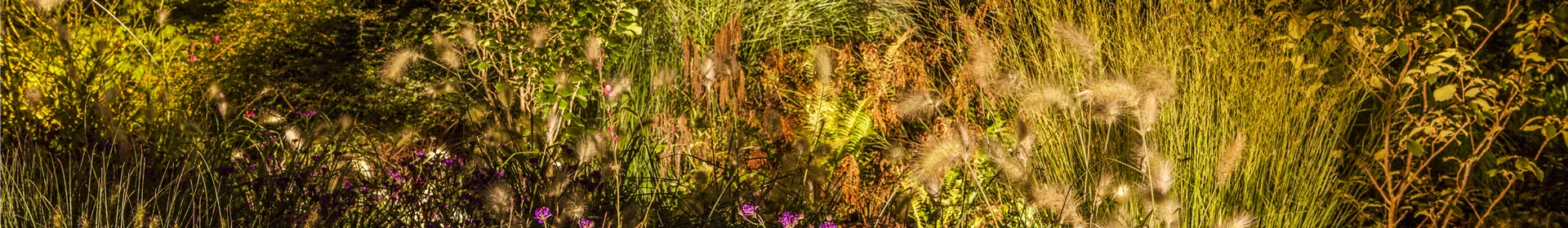 Lichtquellen machen den Garten schöner! - Rosengut Langerwisch