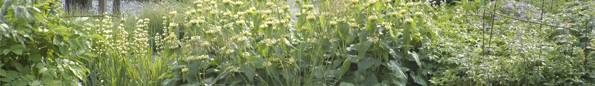 Der Naturgarten - Ausgleich zum Arbeitsalltag - Rosengut Langerwisch