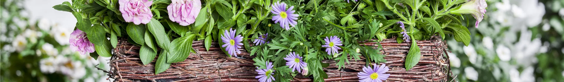 Frühling, Sommer, Herbst, Winter: der Balkon ist immer ein schöner Anblick - Rosengut Langerwisch